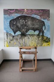 Bison — Glen Ronald