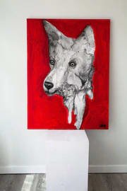 Coyote — Glen Ronald
