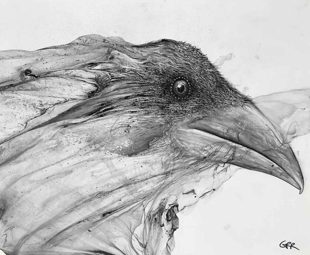 Raven drawing — Glen Ronald