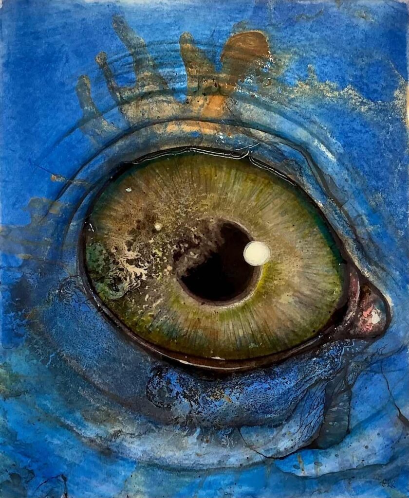 Drown Eye — Glen Ronald