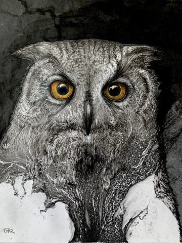 Owl painting — Glen Ronald