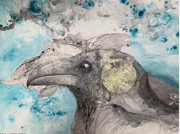 Raven, Image 1 — Glen Ronald