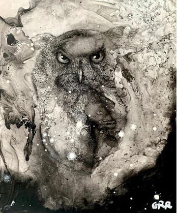 Shrouded in mystery — Glen Ronald