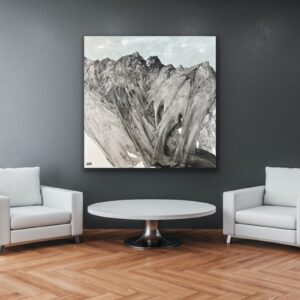 Rockies, Image 1.