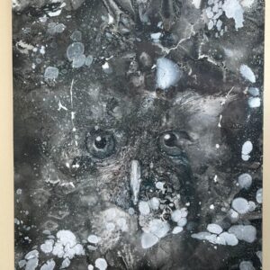 Owl Print