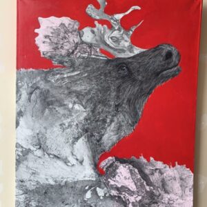 Moose