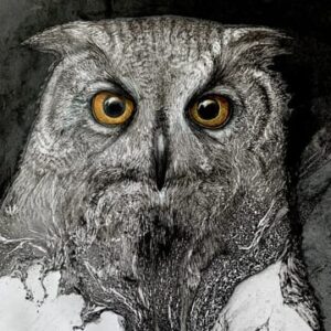 Owl painting