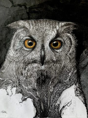 Owl painting — Glen Ronald Artwork from the Mixed Media on paper series, original painting and Canadian art
